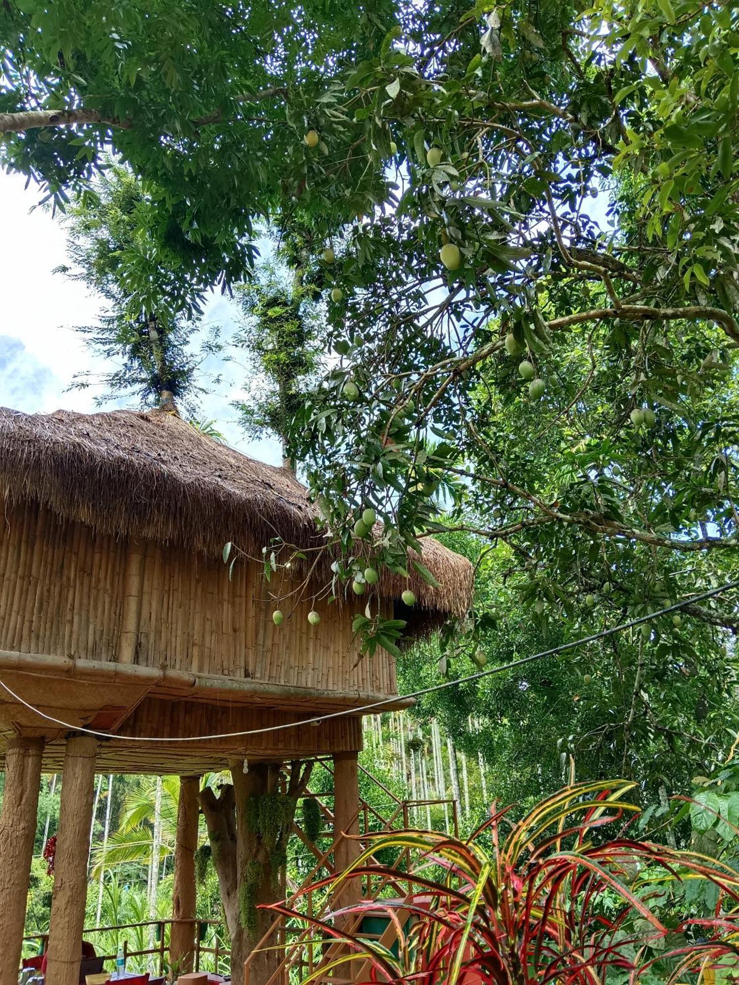 Kalidasa Tree House And Villa, Wayanad Chegāt Cameră foto